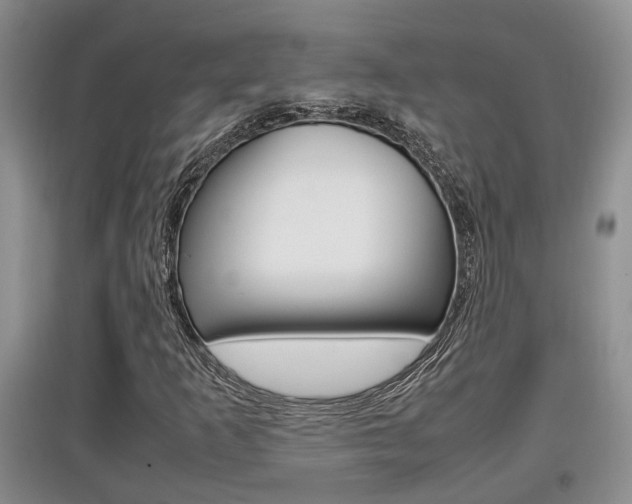 X0000097901253200803140959