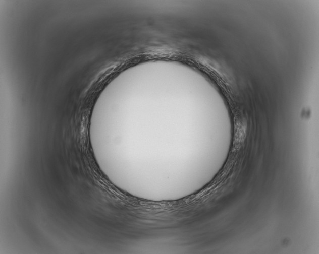 X0000097901254200803140959
