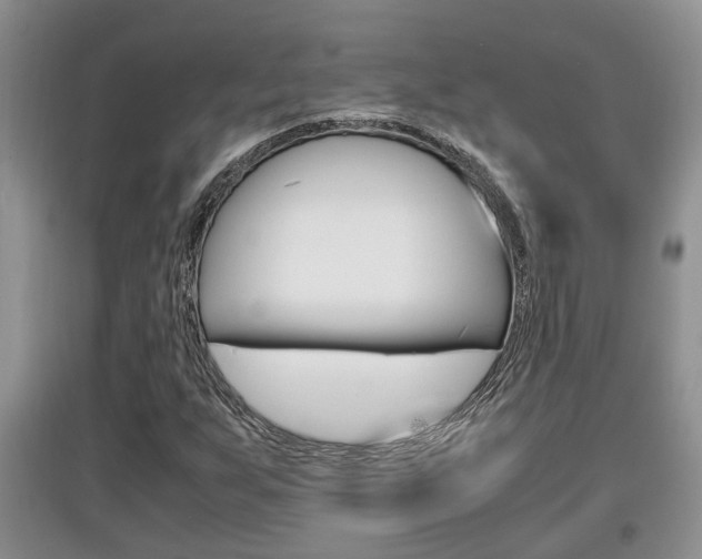 X0000097901255200803140958