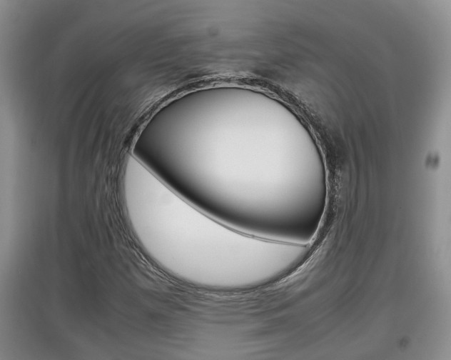 X0000097901257200803140958