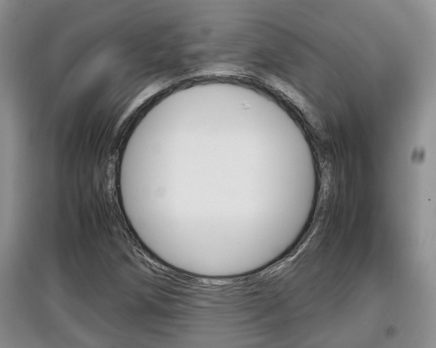 X0000097901258200803140958