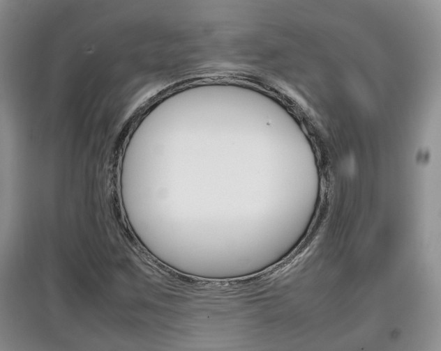 X0000097901259200803140958