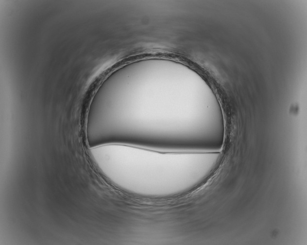 X0000097901261200803140958