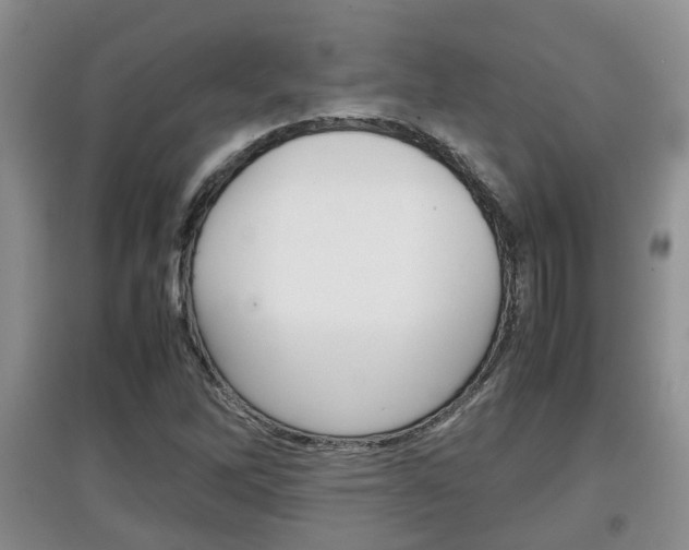 X0000097901262200803140958