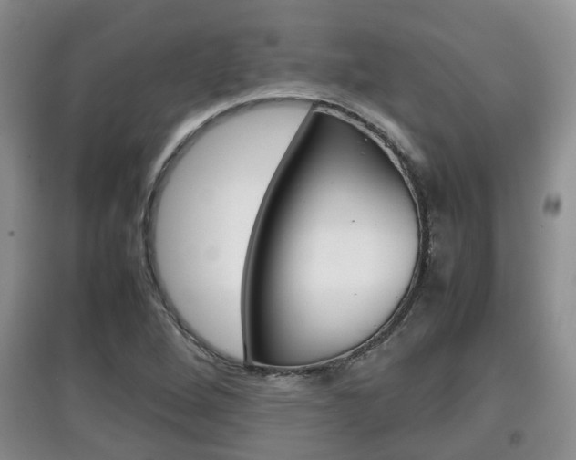 X0000097901264200803140958
