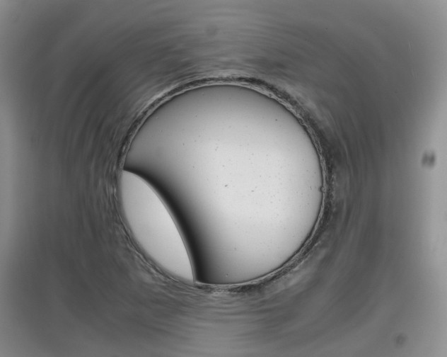 X0000097901265200803140958
