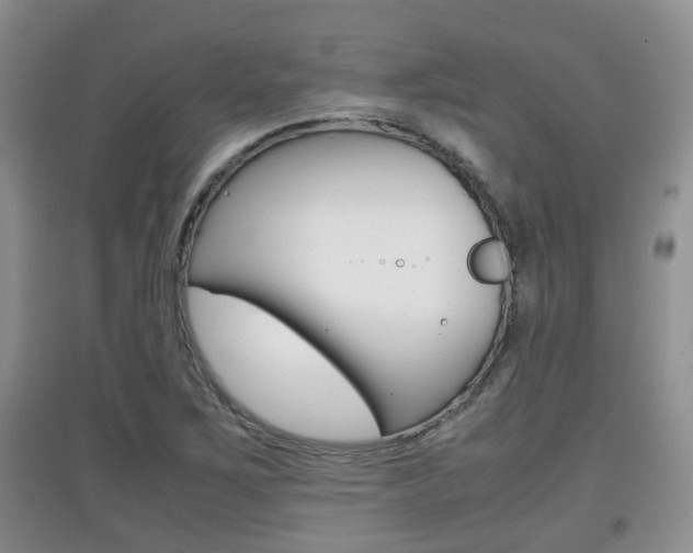 X0000097901267200803140958
