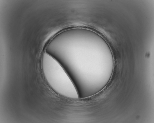 X0000097901269200803140958