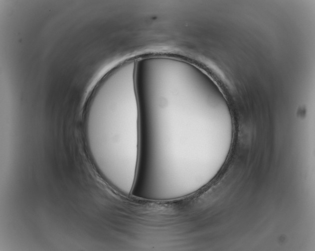 X0000097901270200803140958