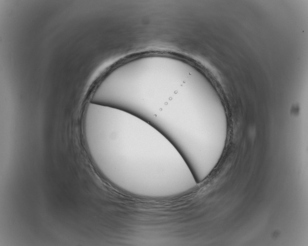 X0000097901271200803140958
