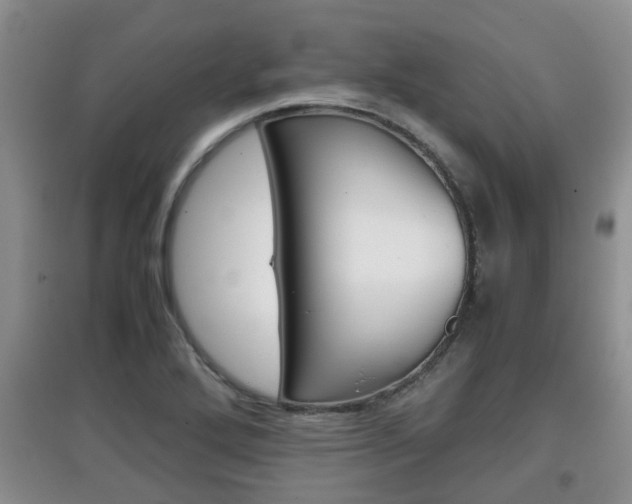 X0000097901272200803140958