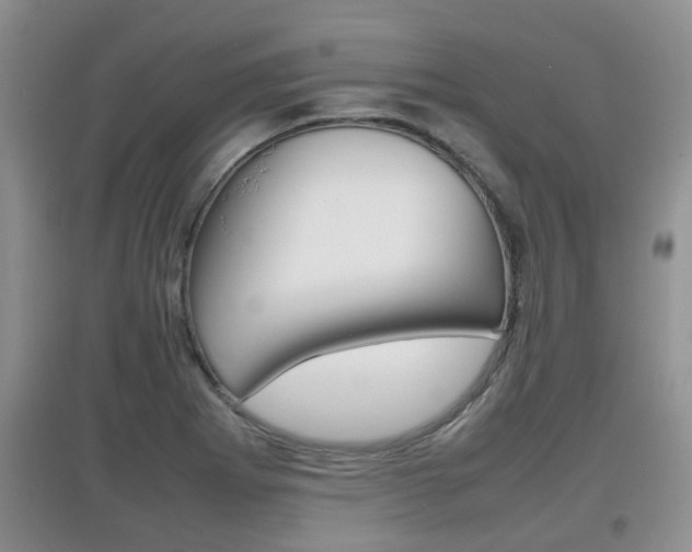 X0000097901273200803140958