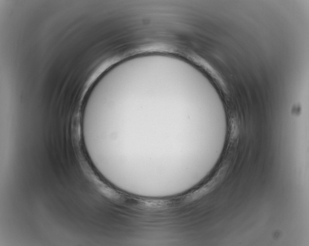 X0000097901274200803140958