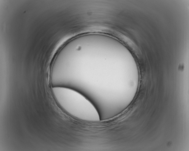 X0000097901275200803140958