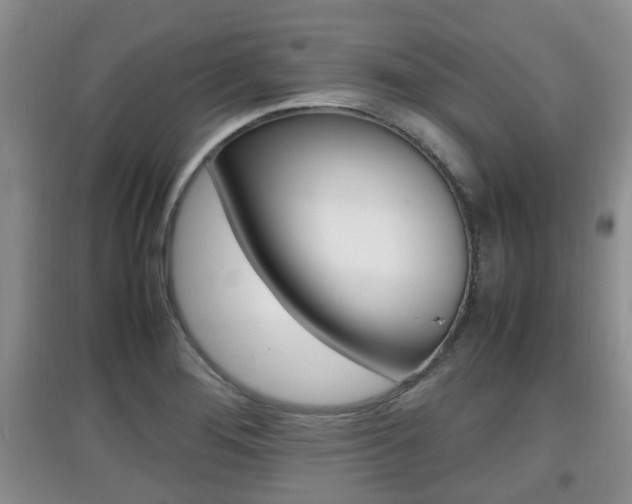 X0000097901276200803140958