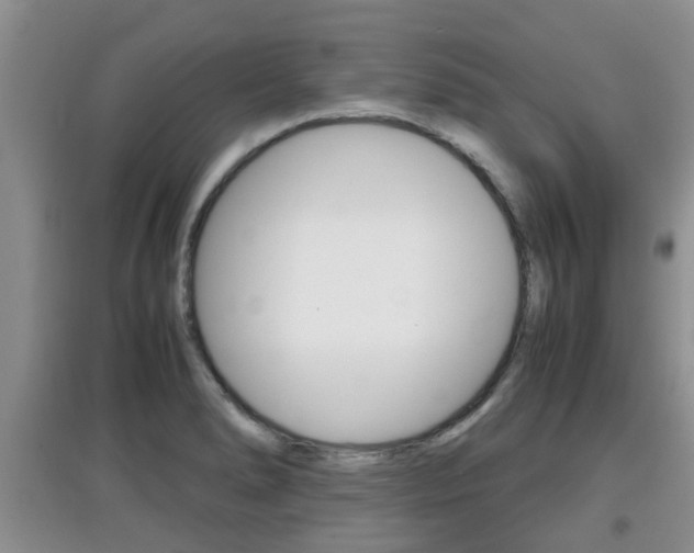 X0000097901278200803140958