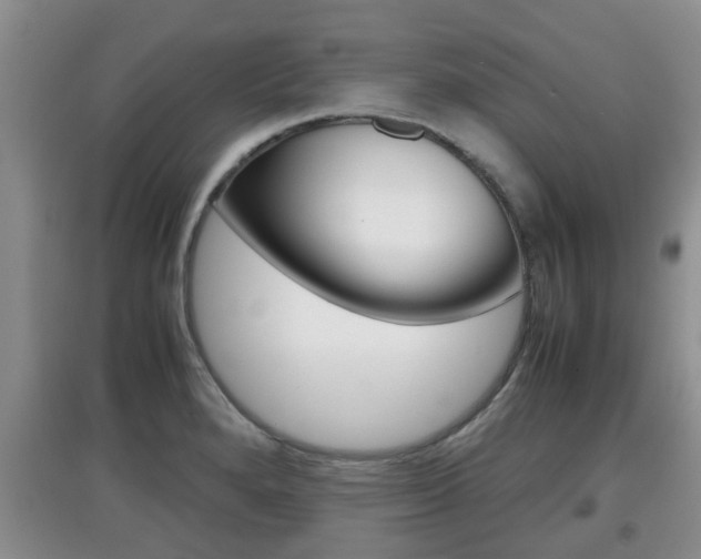 X0000097901280200803140958