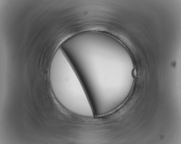 X0000097901281200803140958