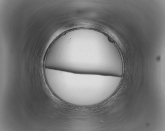 X0000097901283200803140958