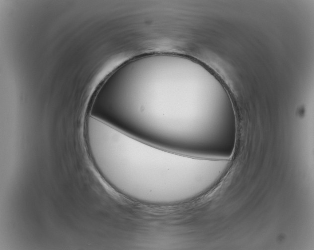 X0000097901285200803140958