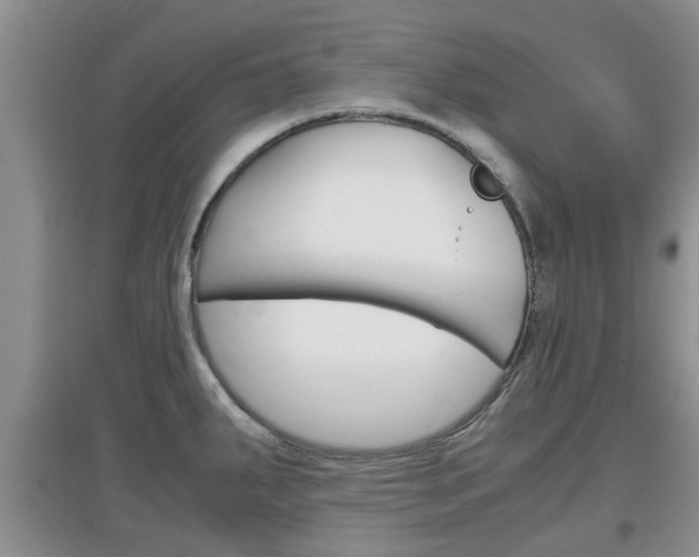 X0000097901287200803140958