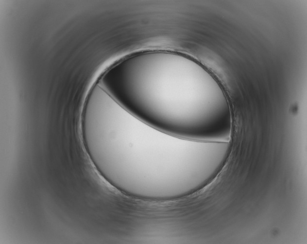 X0000097901288200803140958
