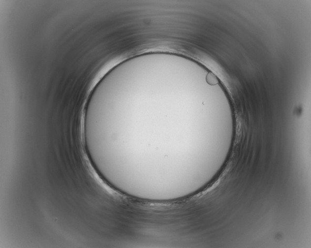 X0000097901290200803140958