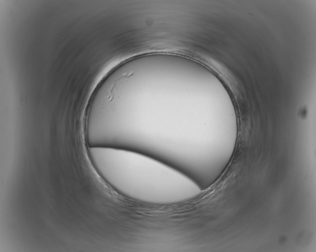 X0000097901291200803140958