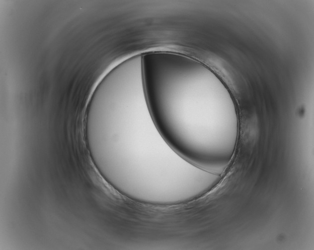 X0000097901292200803140958