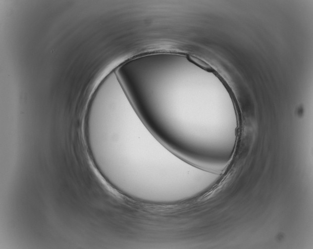 X0000097901293200803140958