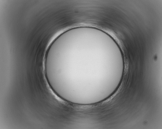 X0000097901294200803140958