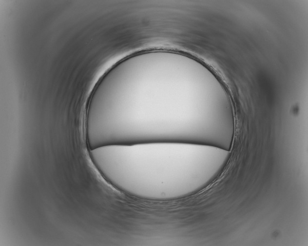 X0000097901295200803140958