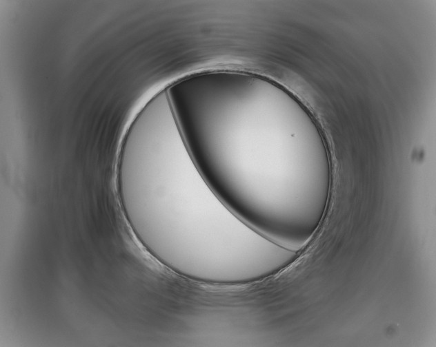 X0000097901296200803140958