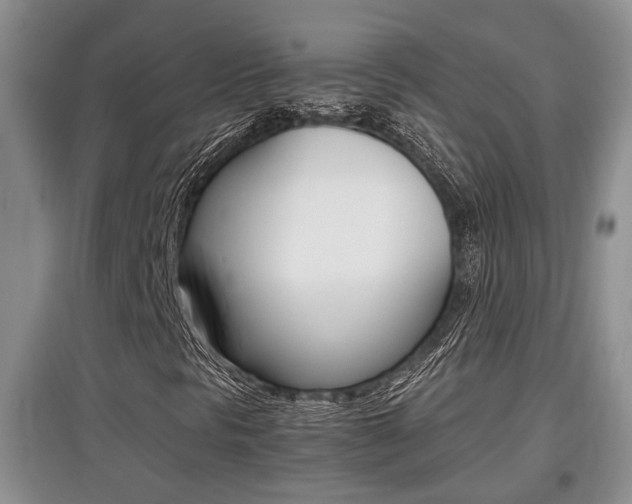 X0000097901297200803140957