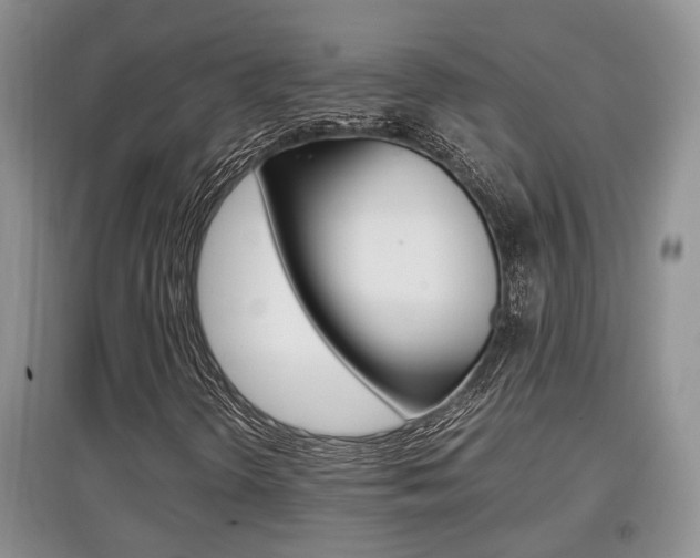 X0000097901298200803140957