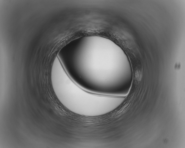 X0000097901300200803140957