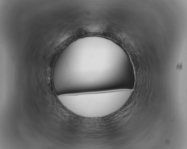 X0000097901301200803140957