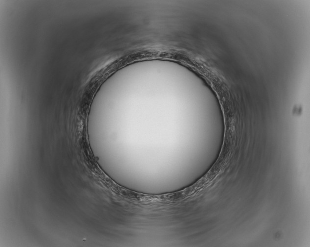 X0000097901302200803140957