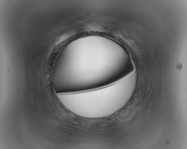 X0000097901303200803140957