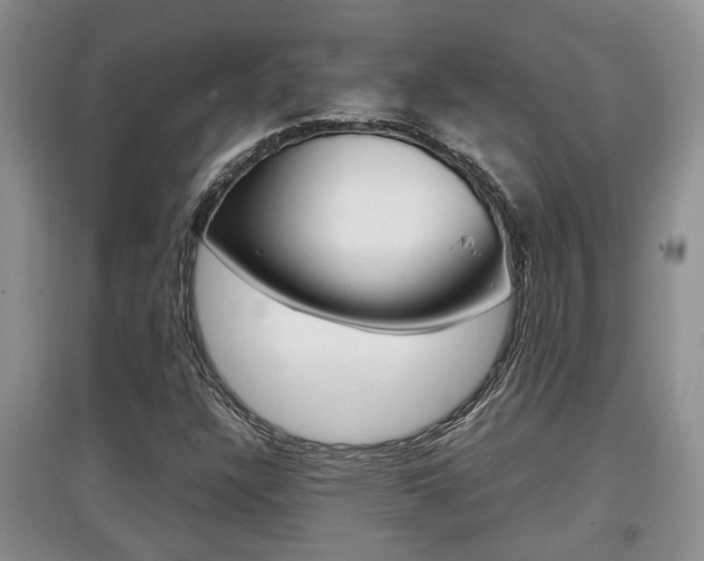 X0000097901304200803140957