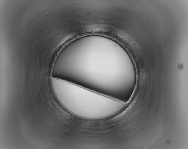 X0000097901305200803140957