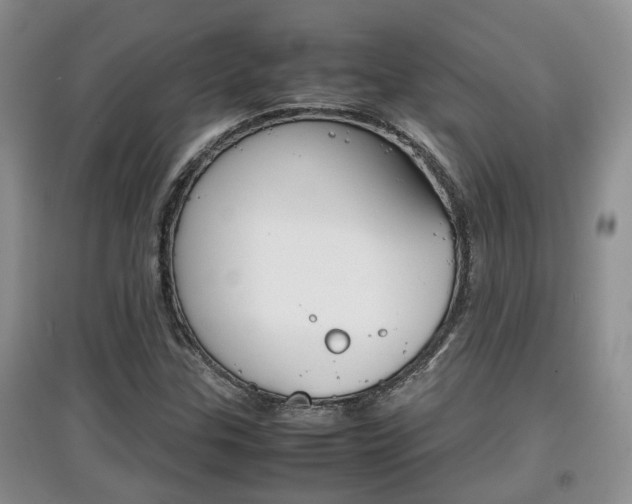 X0000097901307200803140957