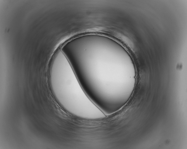 X0000097901308200803140957