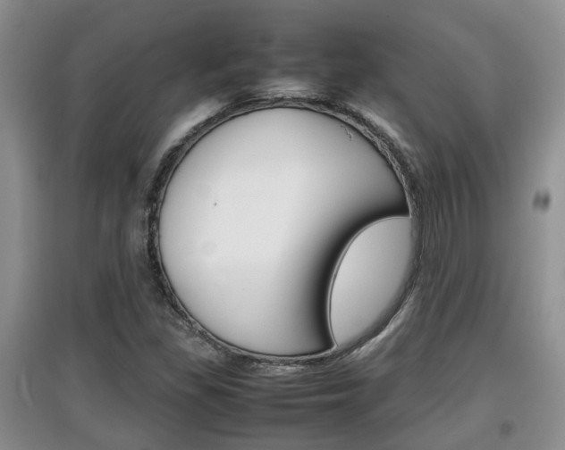 X0000097901309200803140957