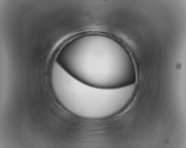 X0000097901310200803140957