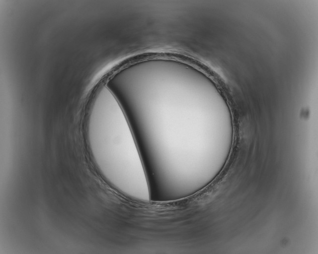 X0000097901311200803140957