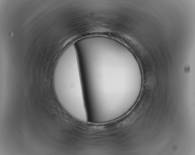 X0000097901313200803140957