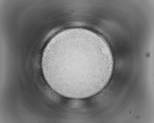 X0000097901314200803140958
