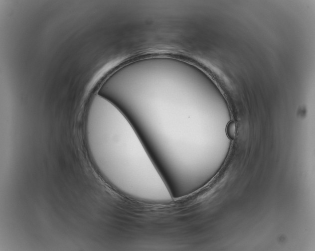 X0000097901317200803140958