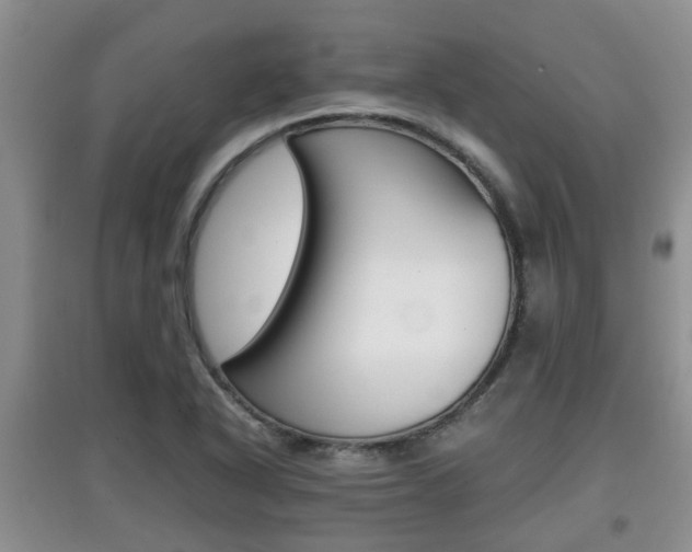 X0000097901318200803140958